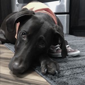 Meet your Posher, Angie